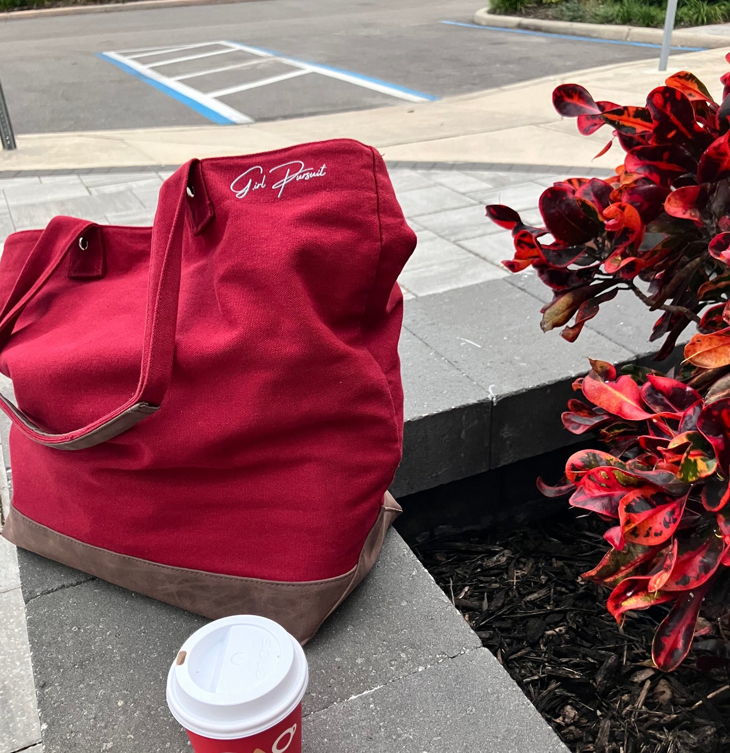 Chic Travel Tote Bag- Stylish & Versatile tote for Women